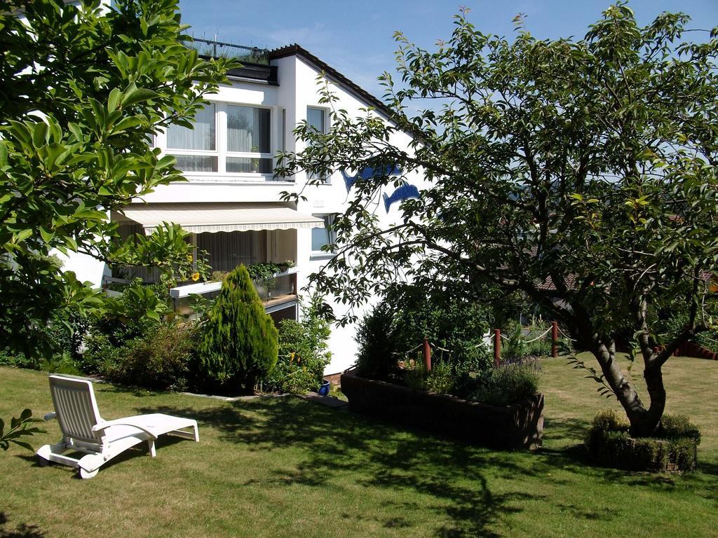 Hotel Haus Delphin Bad Wildungen Exteriér fotografie